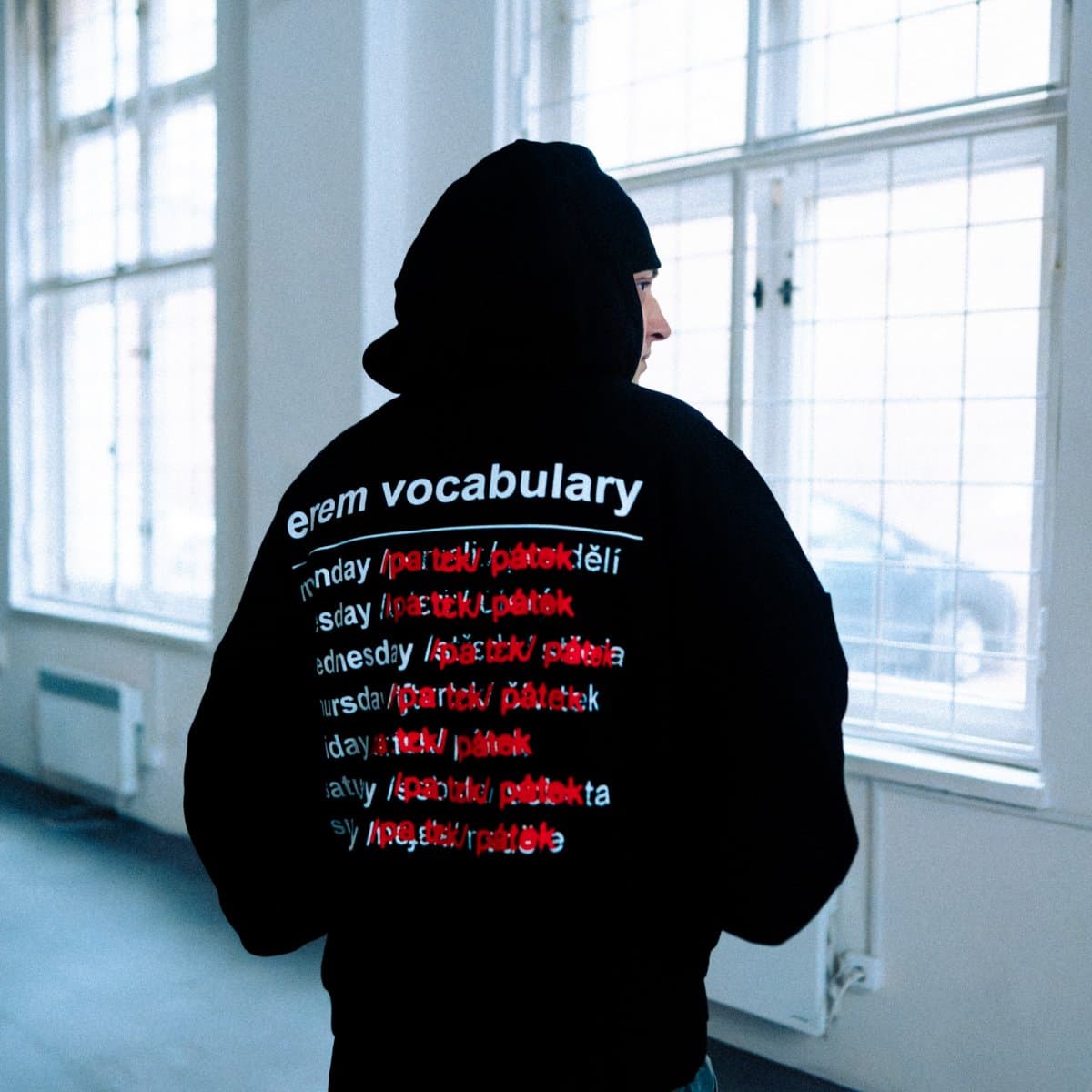 Vocabulary hoodie — pohled produktu