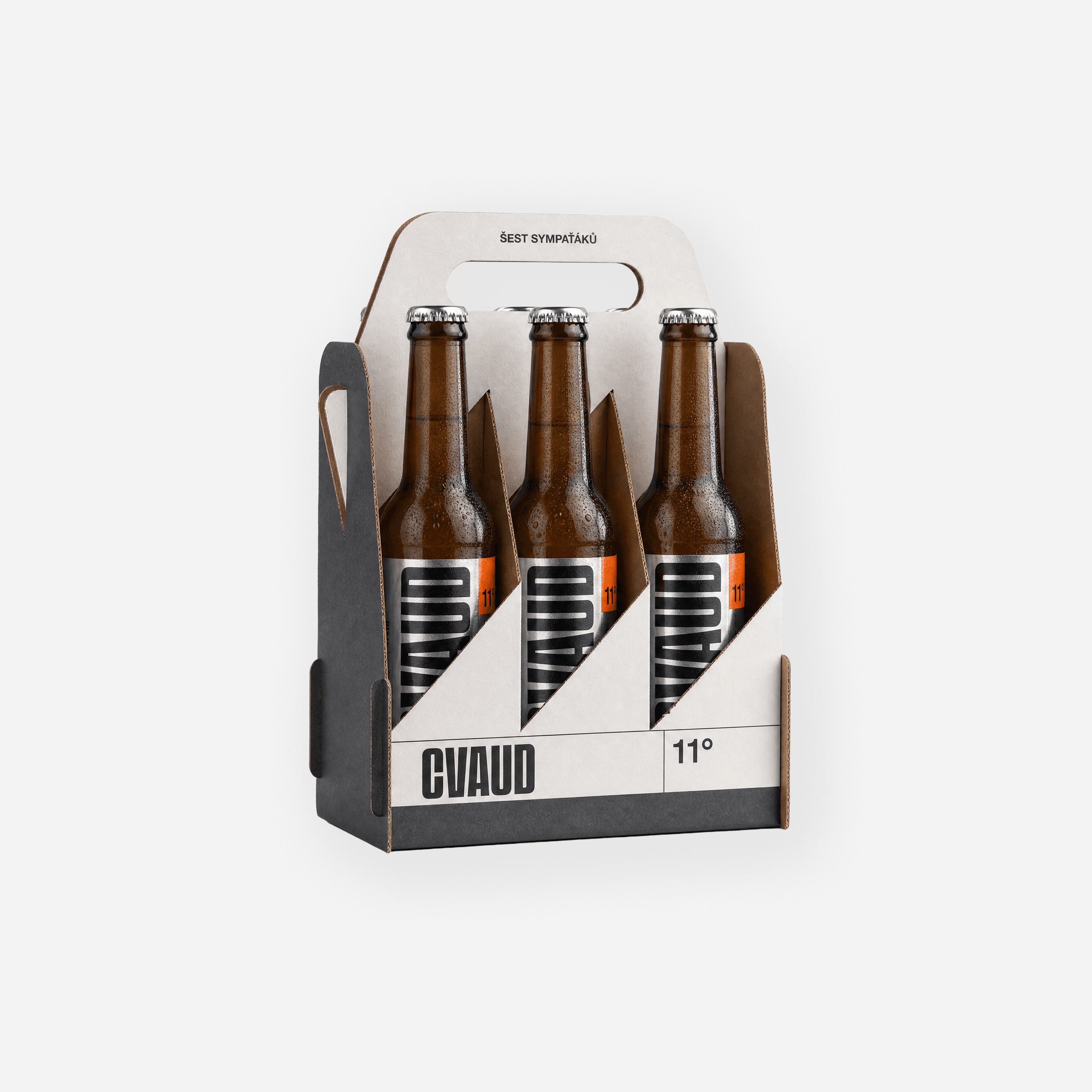 CVAUD 11° sixpack